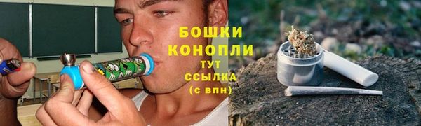бошки Ельня