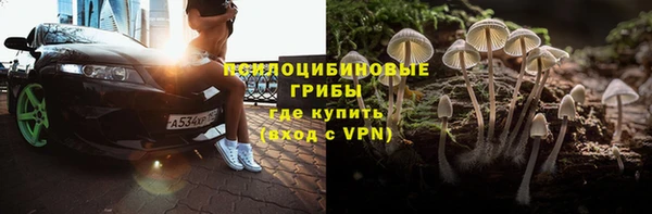 бошки Ельня