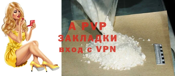 бошки Ельня