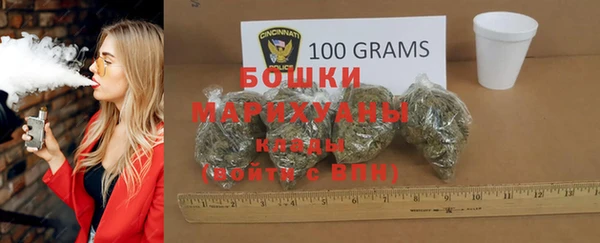 бошки Ельня
