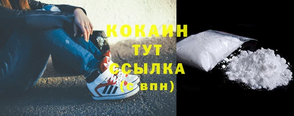 бошки Ельня