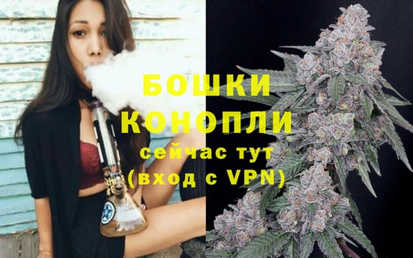 СК Елизово