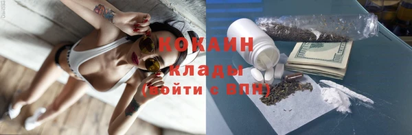 СК Елизово