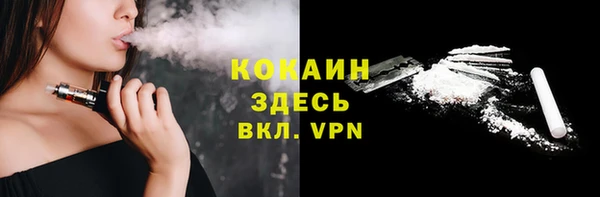 СК Елизово