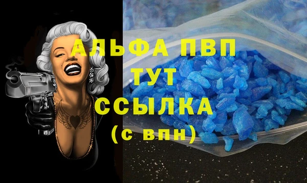 СК Елизово