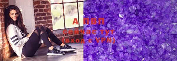 СК Елизово