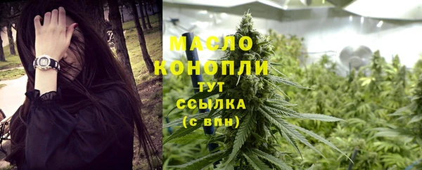 бошки Ельня