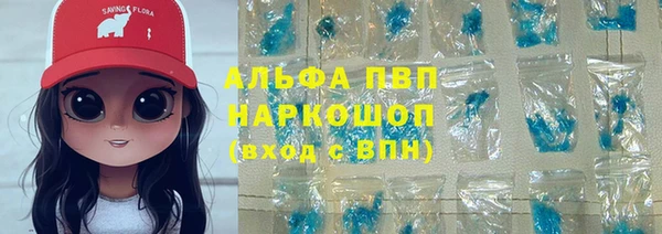 СК Елизово