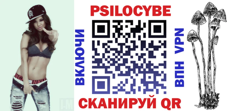 Галлюциногенные грибы Psilocybe  Купить где  Алзамай 